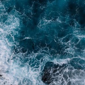 Meet your Posher, Sophie